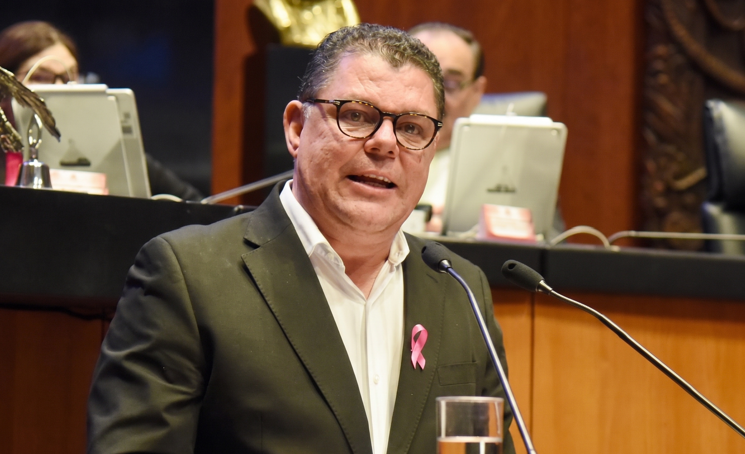 Retrato de Virgilio Mendoza Amezcua como Senador de la República